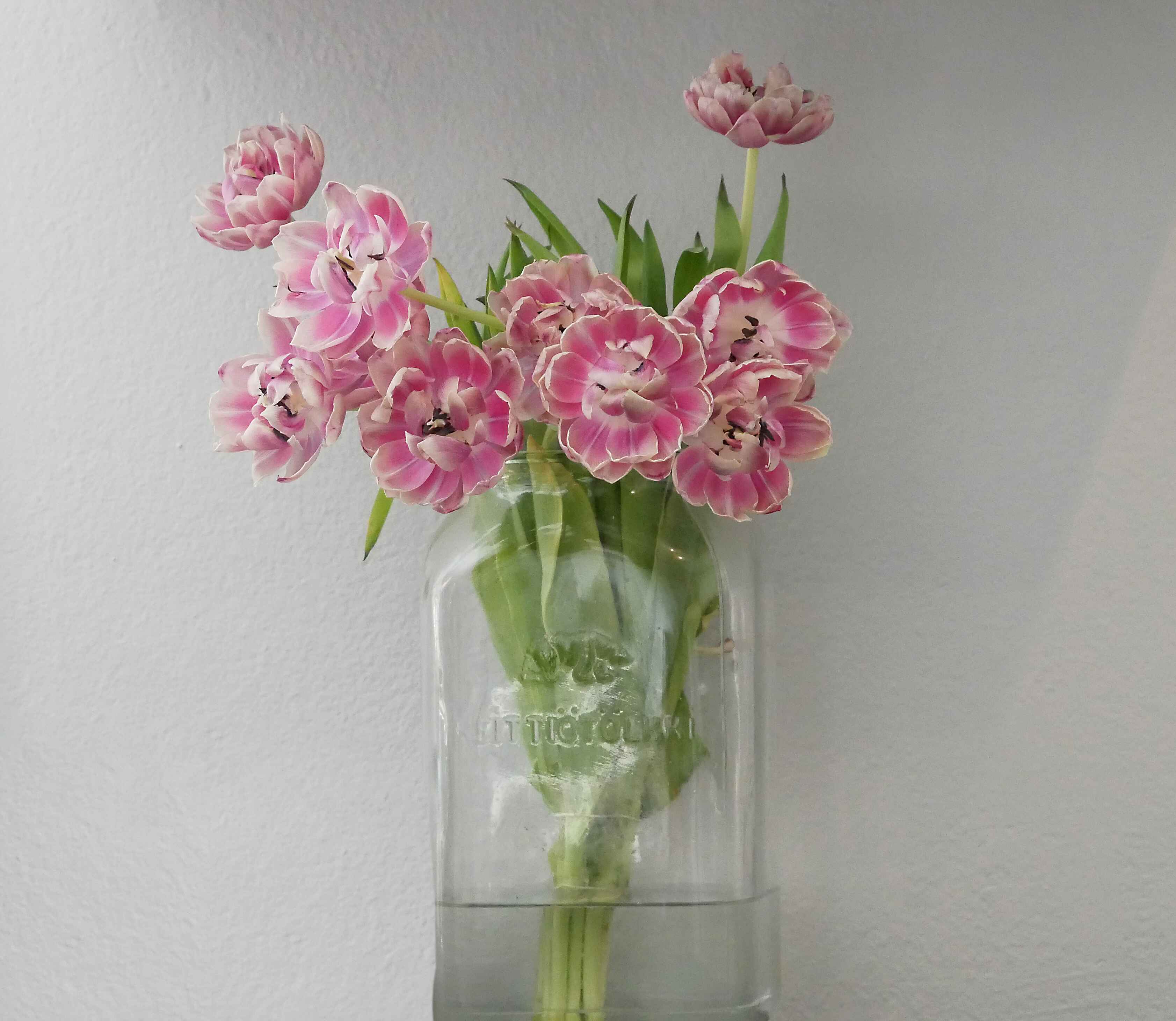 Celebrating Spring with Flowers by muna